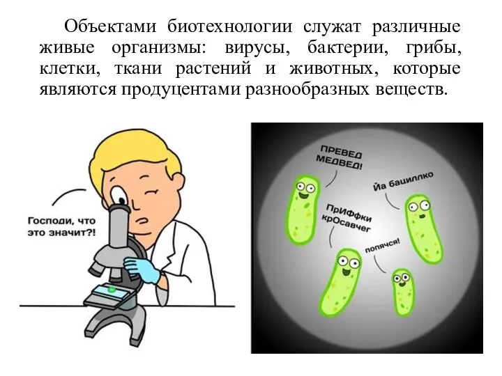 Объектами биотехнологии служат различные живые организмы: вирусы, бактерии, грибы, клетки, ткани растений