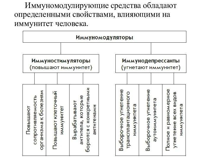 Иммуномодулирующие средства обладают определенными свойствами, влияющими на иммунитет человека.