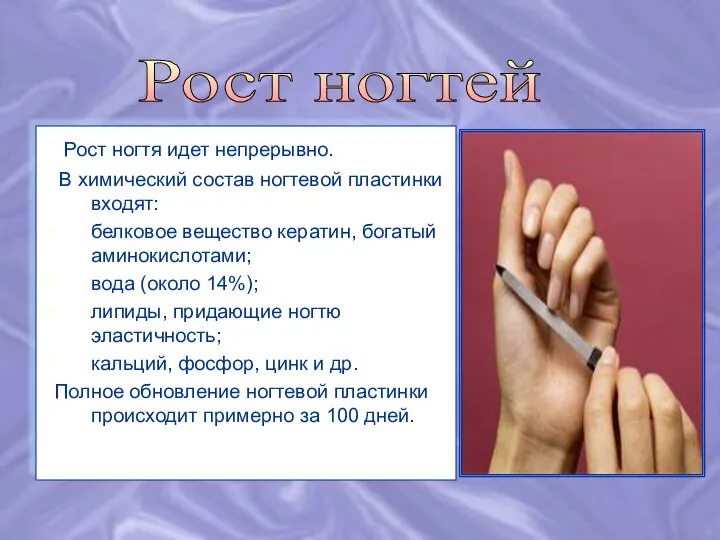 Рост ногтя идет непрерывно. В химический состав ногтевой пластинки входят: белковое вещество