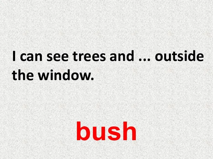 I can see trees and ... outside the window. bush