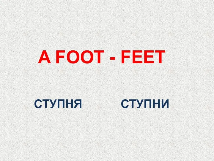 СТУПНЯ A FOOT - FEET СТУПНИ