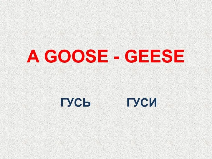 ГУСЬ A GOOSE - GEESE ГУСИ