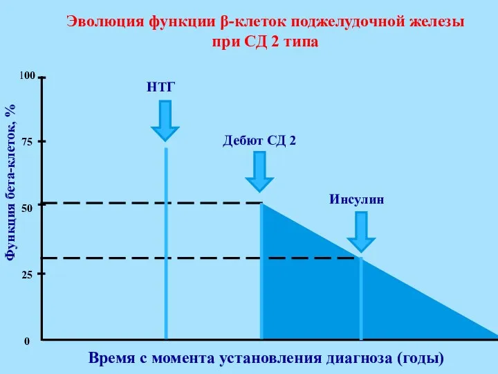 Инсулин Дебют СД 2 НТГ 100 75 50 25 0 Эволюция функции