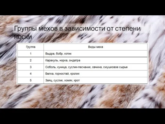 Группы мехов в зависимости от степени носки