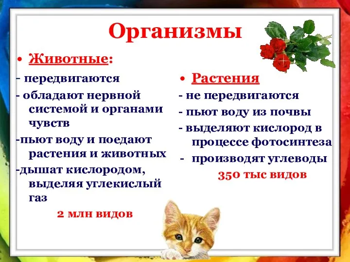 Организмы Животные: - передвигаются - обладают нервной системой и органами чувств -пьют