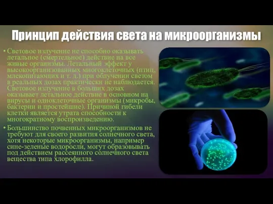 Принцип действия света на микроорганизмы Световое излучение не способно оказывать летальное (смертельное)