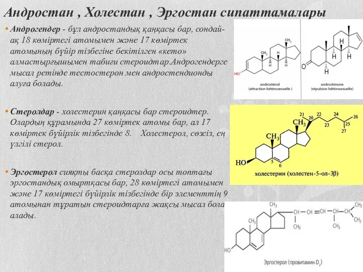 Андростан , Холестан , Эргостан сипаттамалары Андрогендер - бұл андростандық қаңқасы бар,