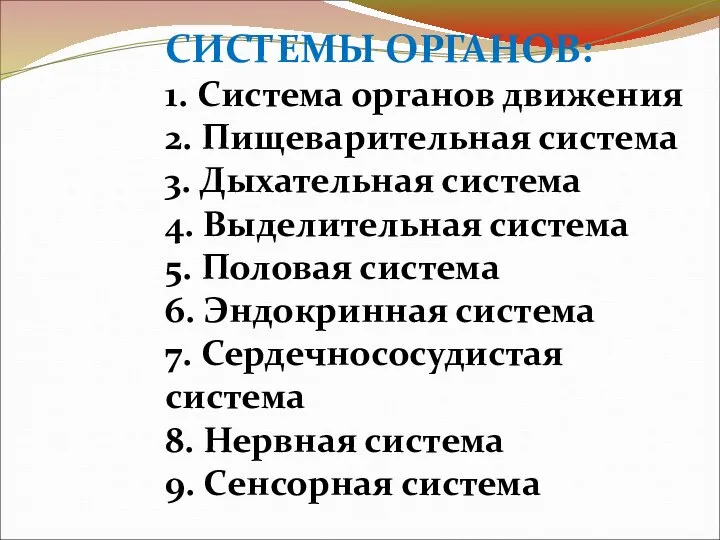 СИСТЕМЫ ОРГАНОВ: 1. Система органов движения 2. Пищеварительная система 3. Дыхательная система