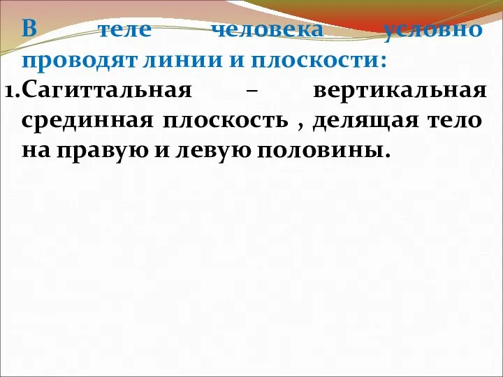 В теле человека условно проводят линии и плоскости: Сагиттальная – вертикальная срединная