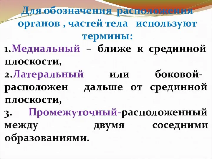 Для обозначения расположения органов , частей тела используют термины: 1.Медиальный – ближе