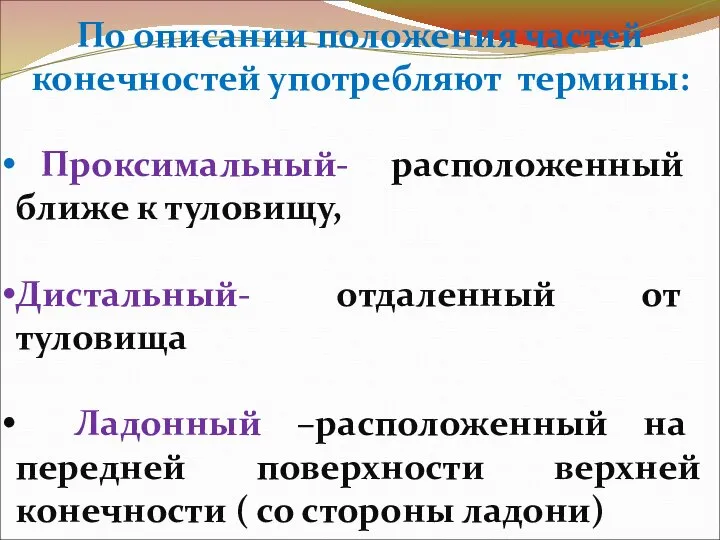 По описании положения частей конечностей употребляют термины: Проксимальный- расположенный ближе к туловищу,