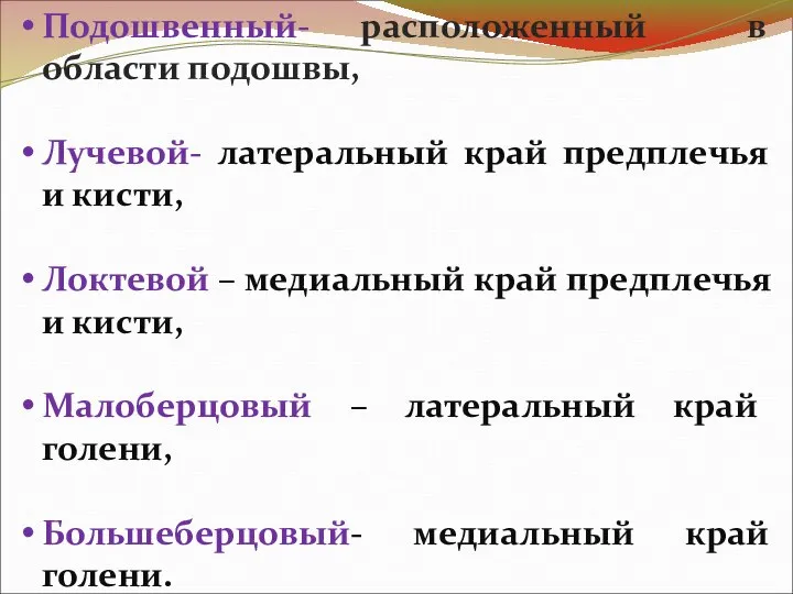 Подошвенный- расположенный в области подошвы, Лучевой- латеральный край предплечья и кисти, Локтевой