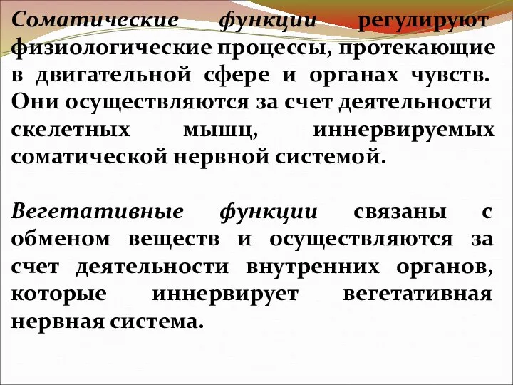 Соматические функции регулируют физиологические процессы, протекающие в двигательной сфере и органах чувств.