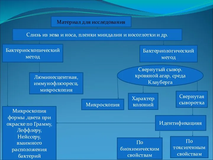 Материал для исследования Слизь из зева и носа, пленки миндалин и носоглотки