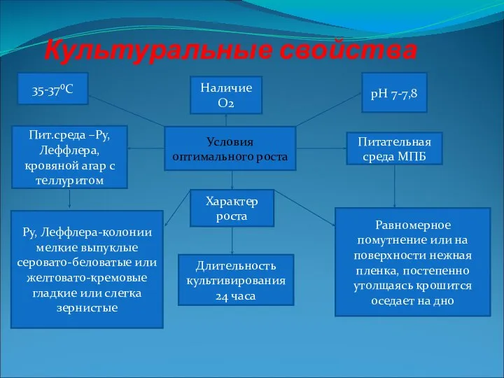 Культуральные свойства Условия оптимального роста Наличие О2 Питательная среда МПБ Длительность культивирования