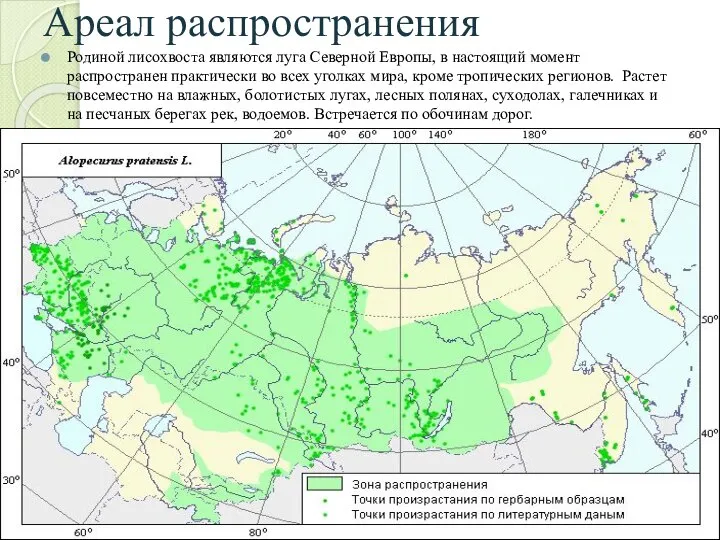 Ареал распространения Родиной лисохвоста являются луга Северной Европы, в настоящий момент распространен