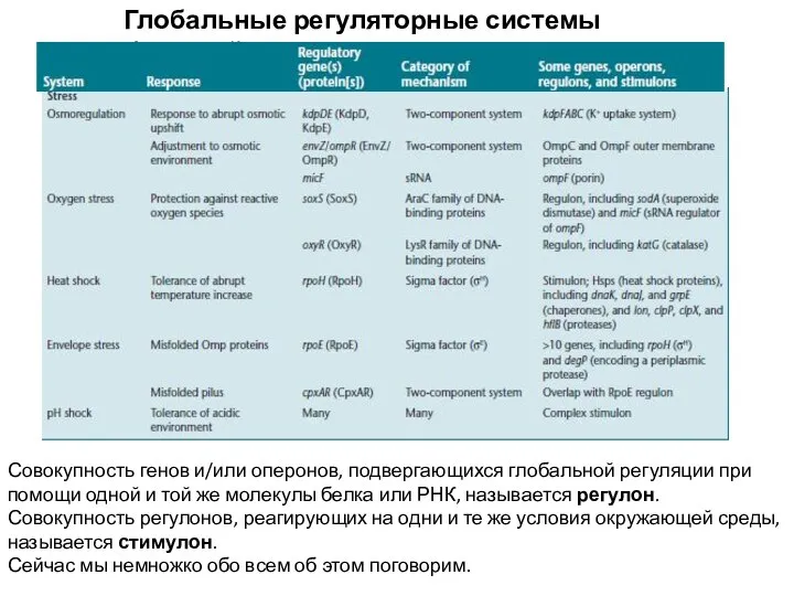 Глобальные регуляторные системы бактерий Совокупность генов и/или оперонов, подвергающихся глобальной регуляции при