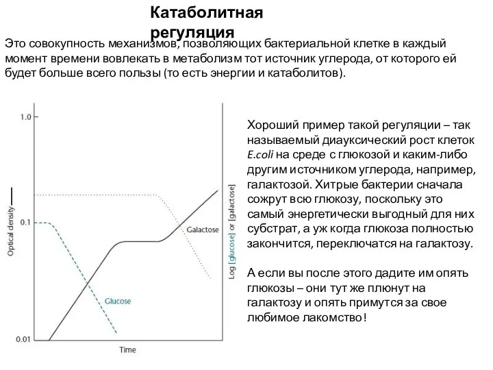 Катаболитная регуляция Это совокупность механизмов, позволяющих бактериальной клетке в каждый момент времени