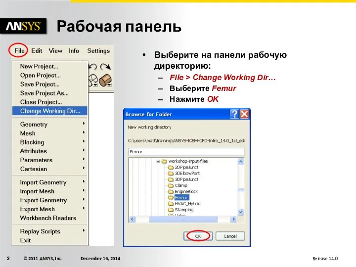 Рабочая панель Выберите на панели рабочую директорию: File > Change Working Dir… Выберите Femur Нажмите OK