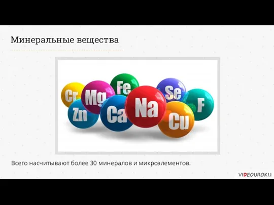 Минеральные вещества Всего насчитывают более 30 минералов и микроэлементов.