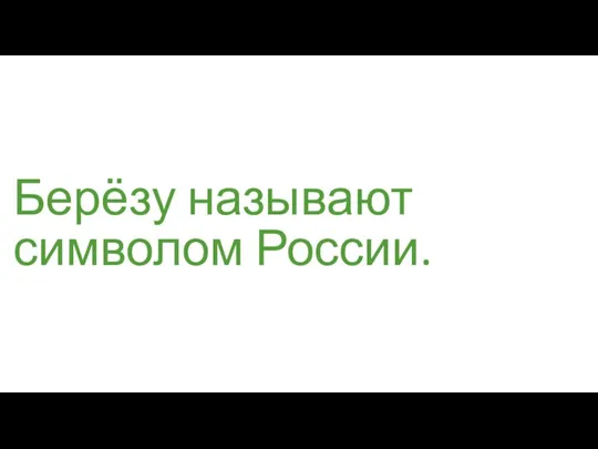 Берёзу называют символом России.