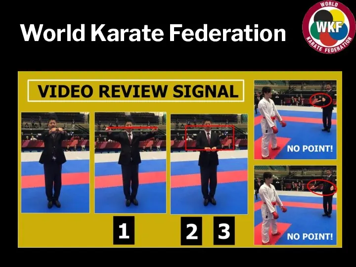 World Karate Federation