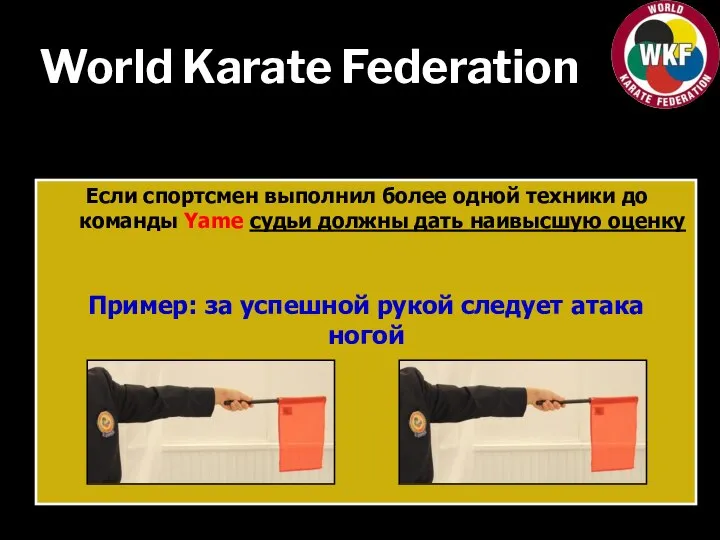 World Karate Federation Если спортсмен выполнил более одной техники до команды Yame