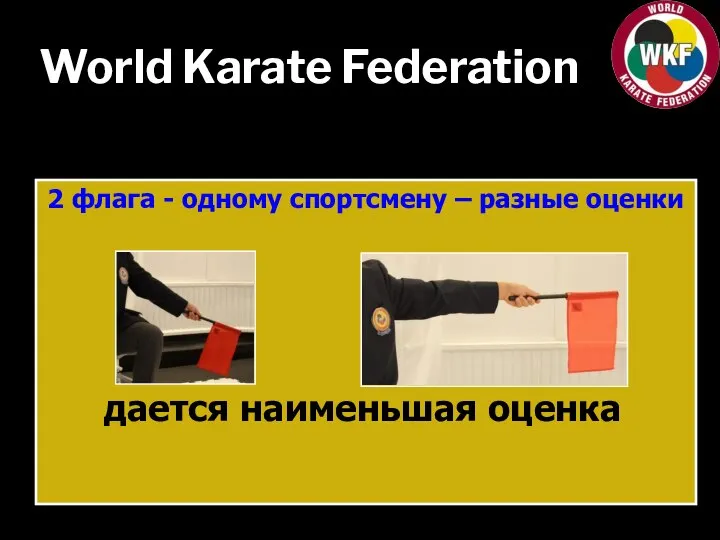 World Karate Federation 2 флага - одному спортсмену – разные оценки дается наименьшая оценка