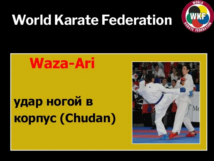 World Karate Federation Waza-Ari удар ногой в корпус (Chudan)