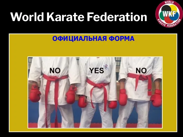 World Karate Federation ОФИЦИАЛЬНАЯ ФОРМА