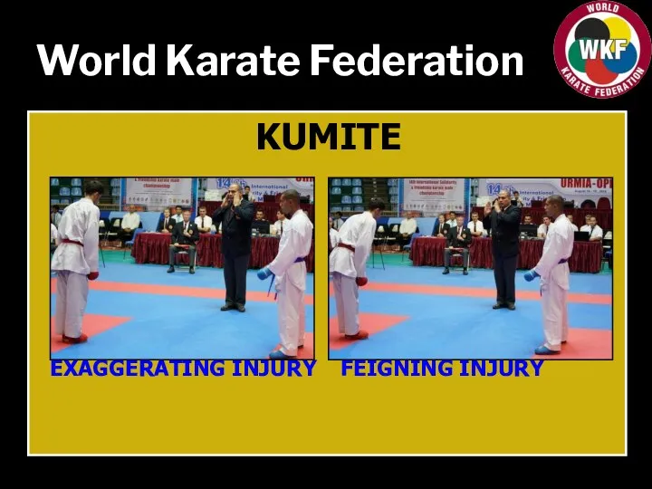 World Karate Federation KUMITE EXAGGERATING INJURY FEIGNING INJURY