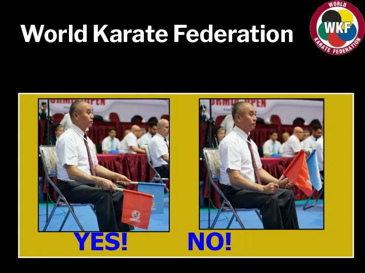 World Karate Federation YES! NO!