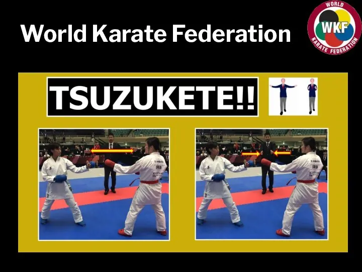 World Karate Federation Пассивость YAE!