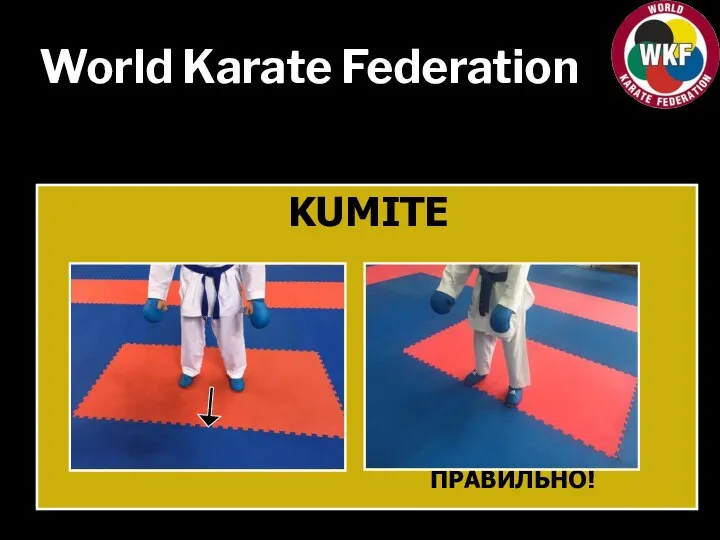 World Karate Federation KUMITE ПРАВИЛЬНО!