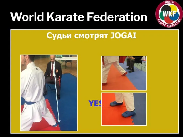 World Karate Federation Судьи смотрят JOGAI NO! YES!
