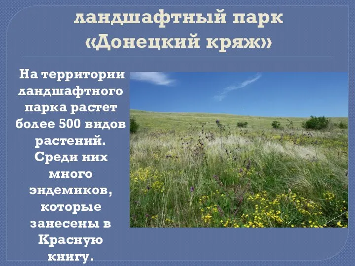 Региональный ландшафтный парк «Донецкий кряж» На территории ландшафтного парка растет более 500