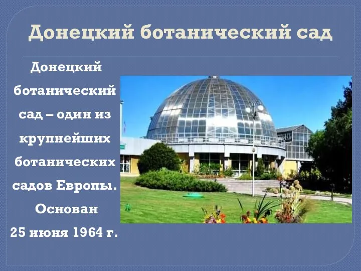 Донецкий ботанический сад Донецкий ботанический сад – один из крупнейших ботанических садов
