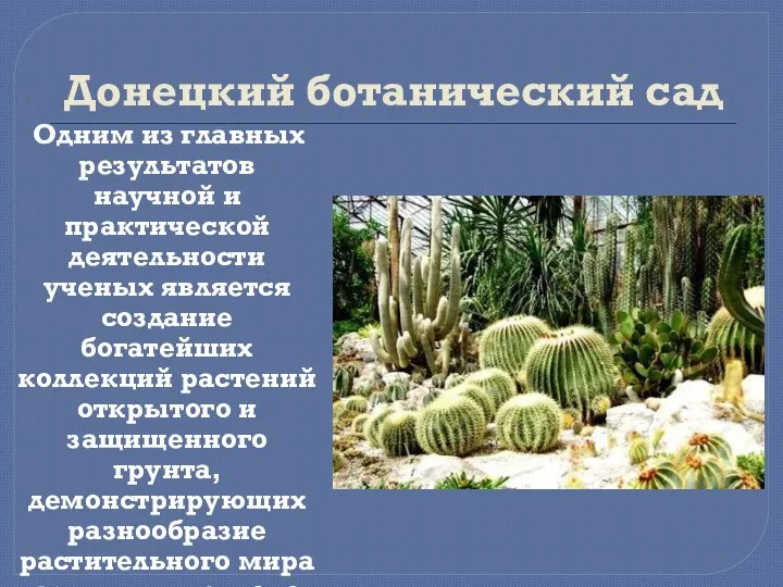 Донецкий ботанический сад Одним из главных результатов научной и практической деятельности ученых