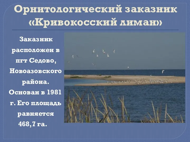 Орнитологический заказник «Кривокосский лиман» Заказник расположен в пгт Седово, Новоазовского района. Основан