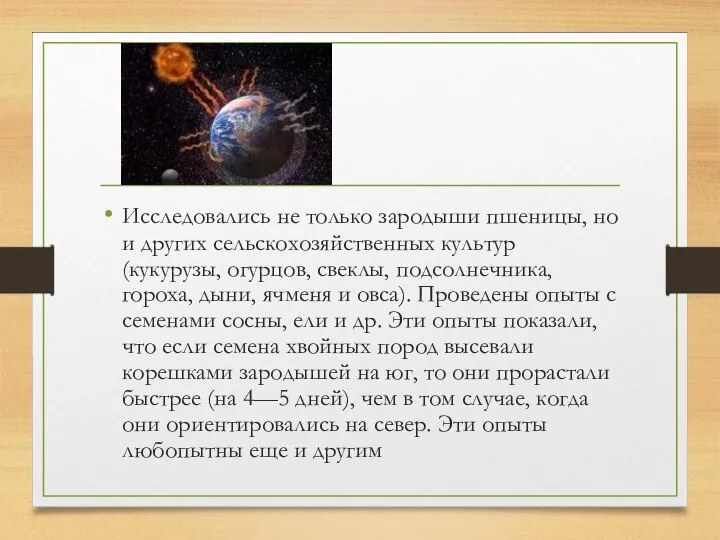 Исследовались не только зародыши пшеницы, но и других сельскохозяйственных культур (кукурузы, огурцов,