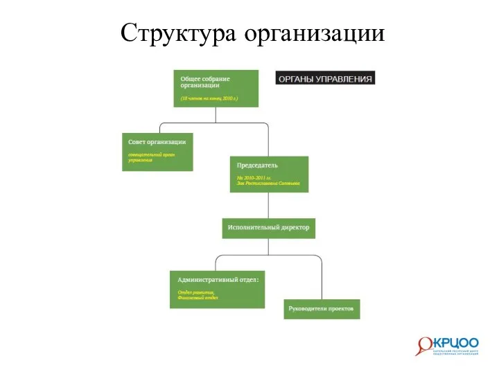 Структура организации