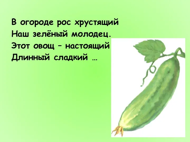 В огороде рос хрустящий Наш зелёный молодец. Этот овощ – настоящий Длинный сладкий …