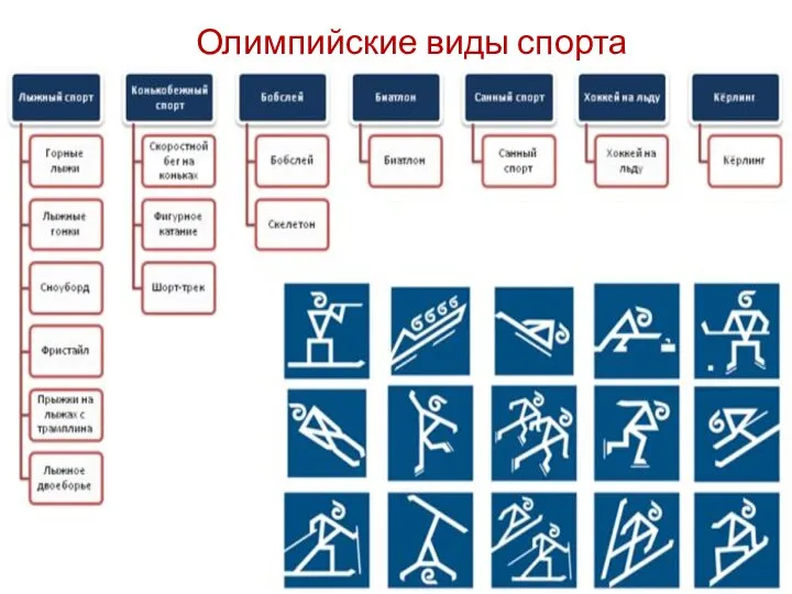 Олимпийские виды спорта