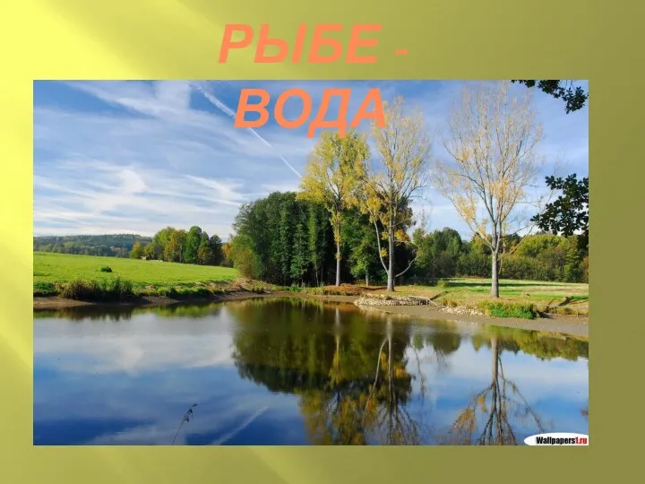 РЫБЕ - ВОДА