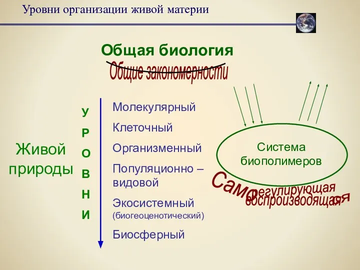 Уровни организации живой материи Общая биология Живой природы Молекулярный Клеточный Организменный Популяционно