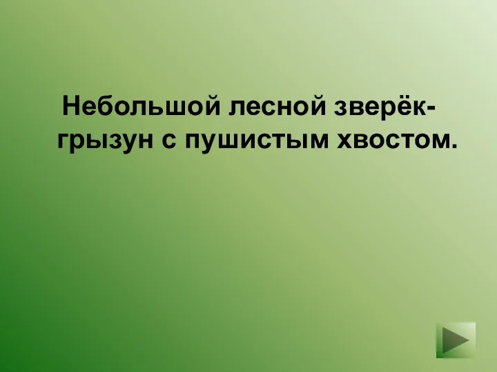 Небольшой лесной зверёк-грызун с пушистым хвостом.