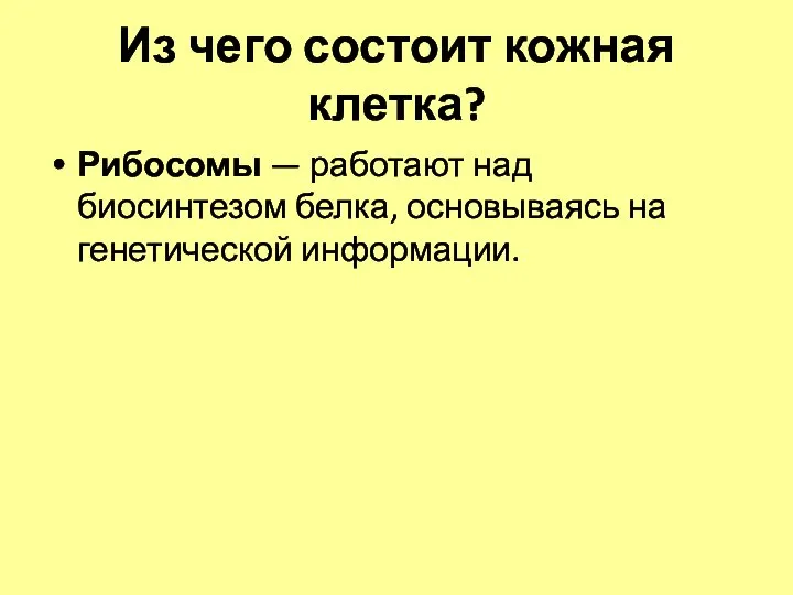 Из чего состоит кожная клетка? Рибосомы — работают над биосинтезом белка, основываясь на генетической информации.