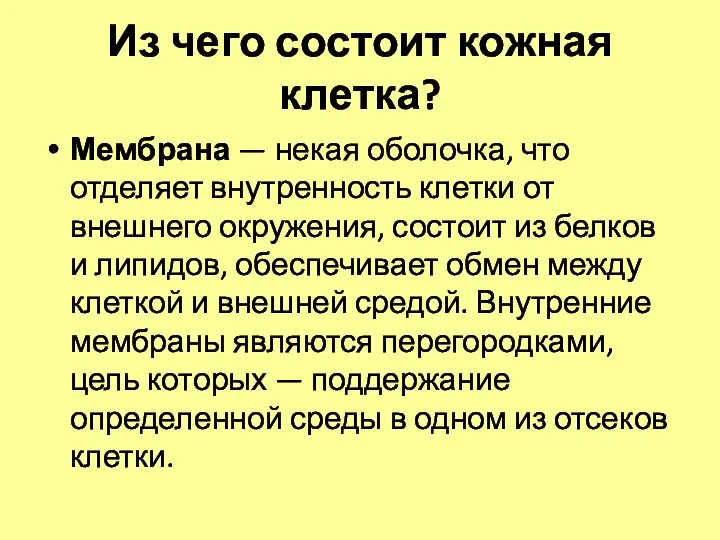 Из чего состоит кожная клетка? Мембрана — некая оболочка, что отделяет внутренность