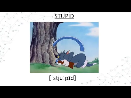 [ˈstjuːpɪd] STUPID