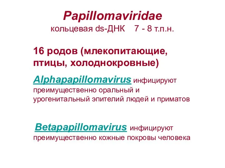 Papillomaviridae кольцевая ds-ДНК 7 - 8 т.п.н. 16 родов (млекопитающие, птицы, холоднокровные)